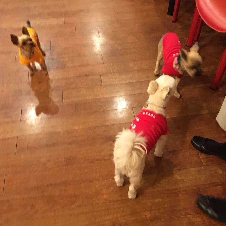 Ef3b8b61 a6b2 4900 a70e 112245bc3038 1511990477322