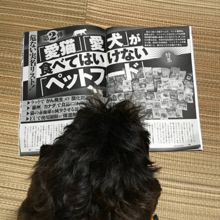 Ef3b8d58 d435 495e a53e b4ac9ec975ab 1534517146780