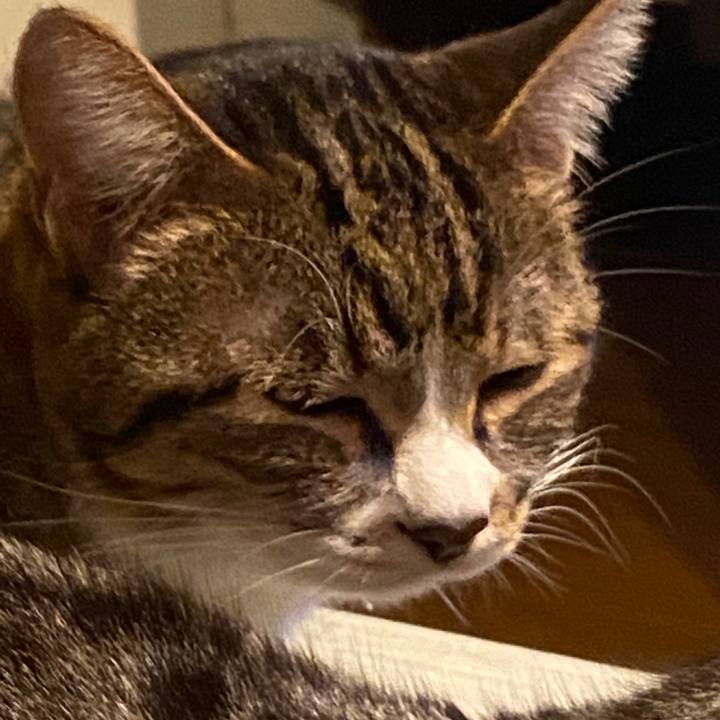 Ef3ba566 d8f3 4d42 adaf 908b9d214a8d 1584457040874