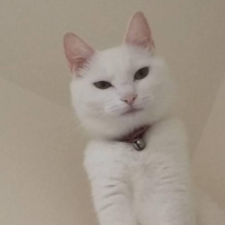 Ef3c02a1 e255 4e5e af49 1a121162af37 1627336577212