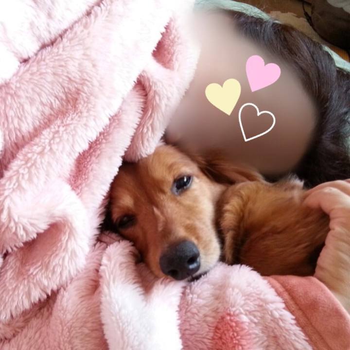 Ef3c39b9 45ad 43c2 b992 31d618c1d0a6 1529418754882