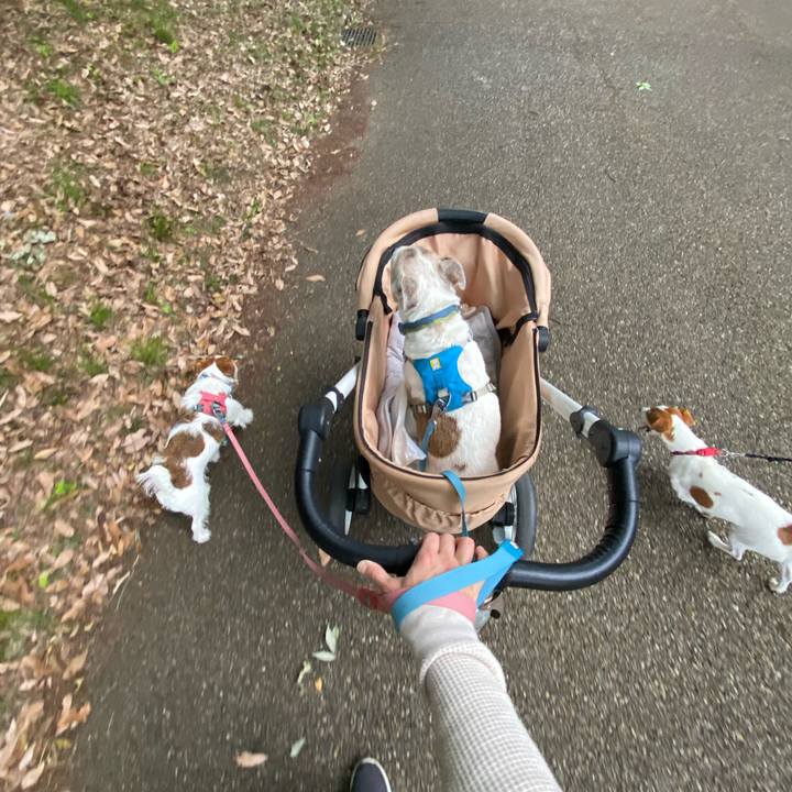 Ef3c41bd 3eec 4ad6 96f2 61e4de841ea2 1716726474390