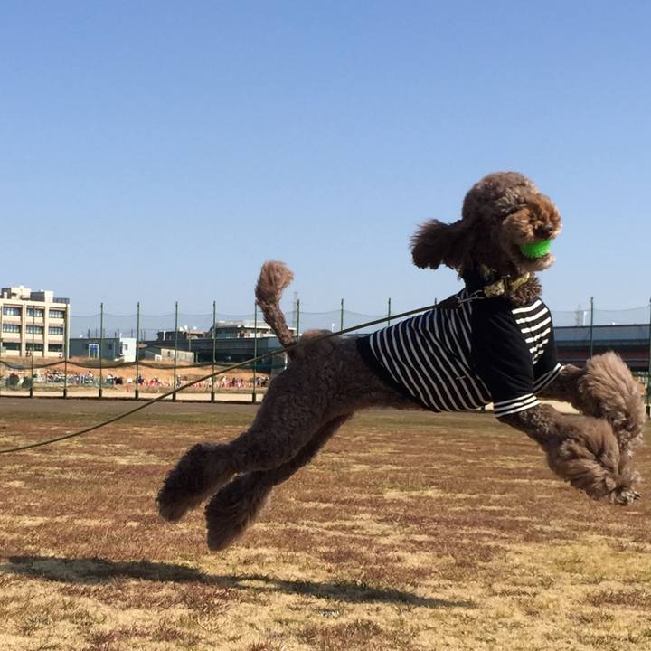 Ef3c4a10 7294 4cf4 b540 431aa488560f 1516539240697