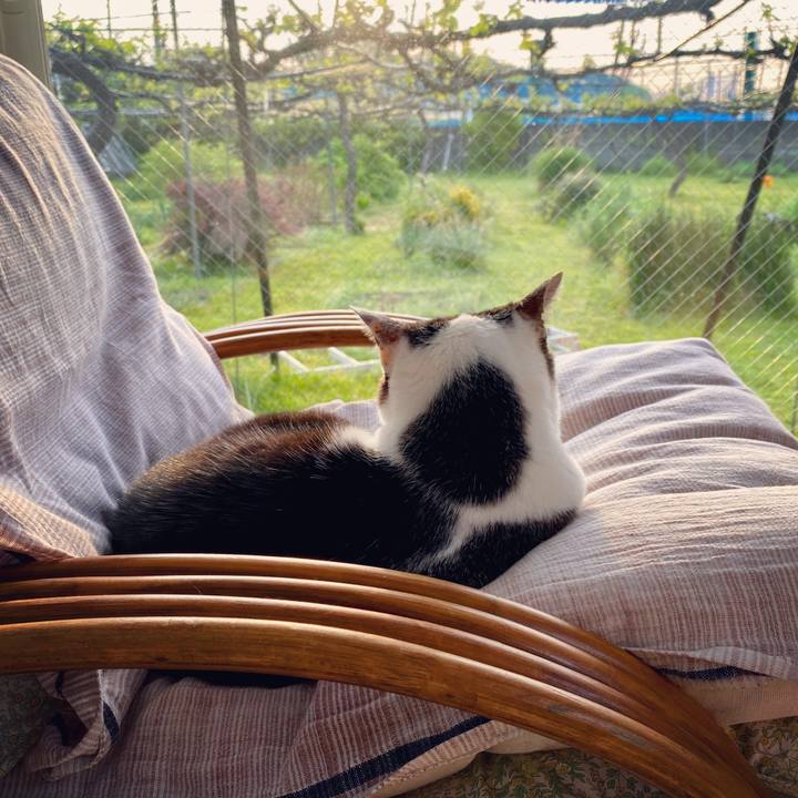 Ef3c4e91 9f21 4d0f b26b 878daeebe7ed 1588625233006