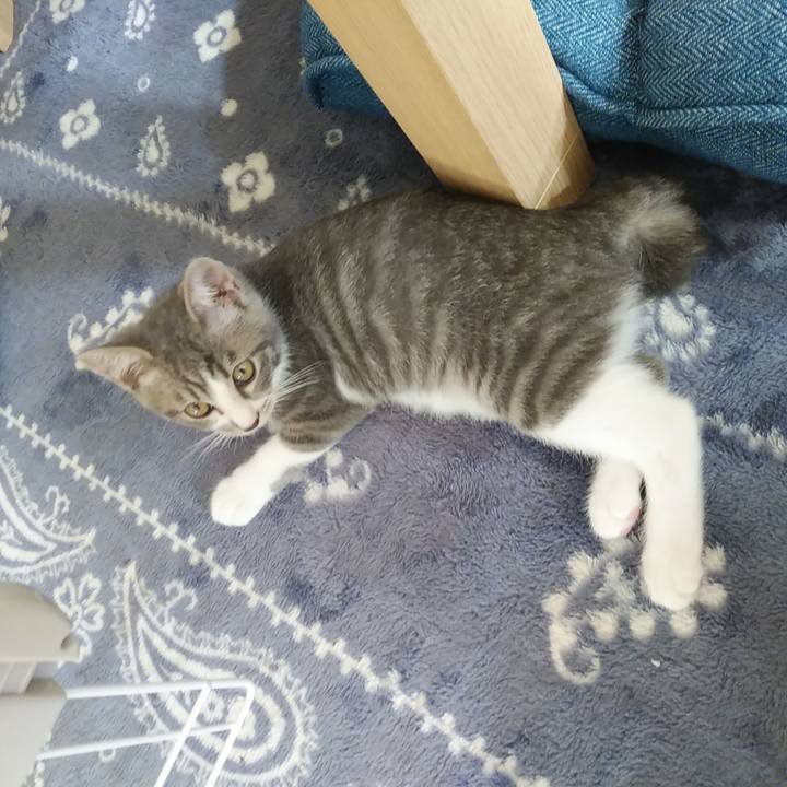 Ef3c5e84 82c5 4227 954f b6f6cc5a7c4b 1564182136210