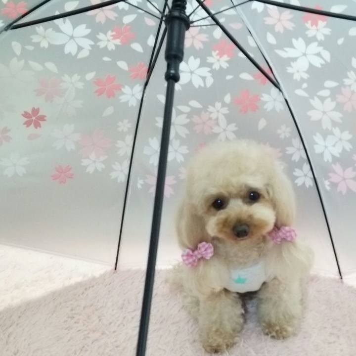 Ef3c615b d76d 44aa aaec cd28bdf9d1e0 1524467454014