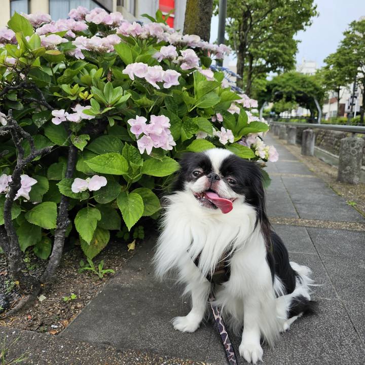 Ef3cd300 551f 44d2 9bef 2d0f8f7fe077 1686047859941