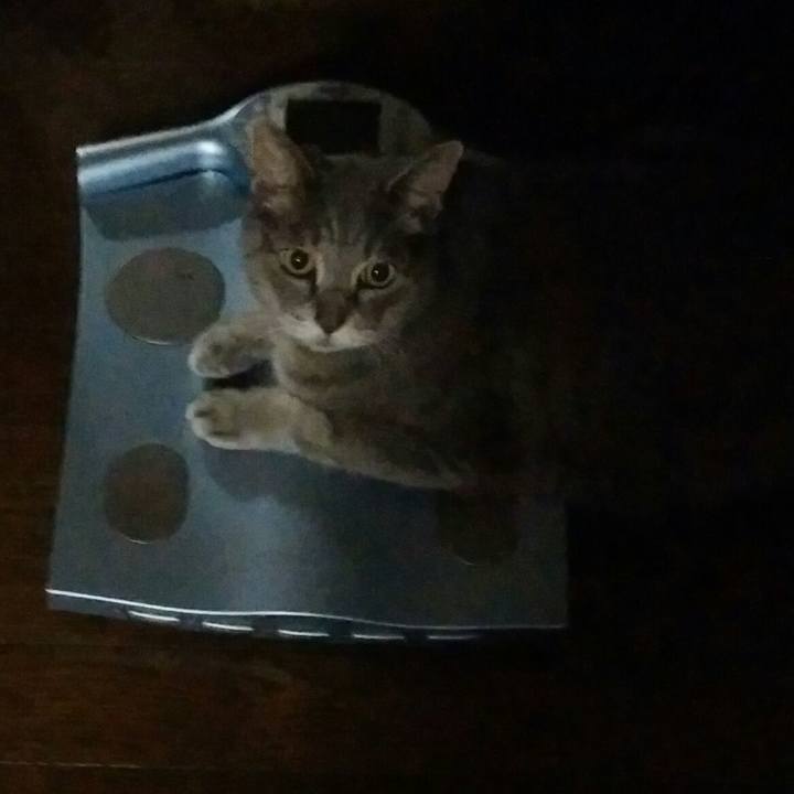 Ef3ce04d d903 4403 a568 627c71784688 1594726287611