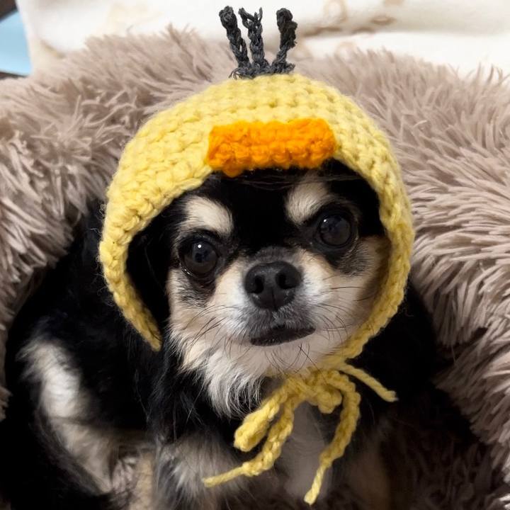 Ef3d0729 8056 4196 97c4 5daf26f70036 1668326621857