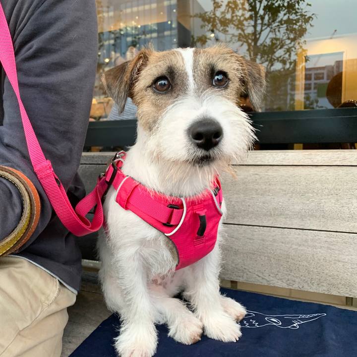 Ef3d62ac 6073 4b54 8424 68528f7889ae 1572088891410