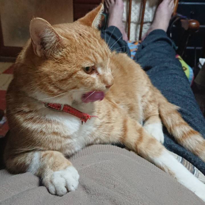 Ef3d801a ee79 4528 983b b962e34b5345 1575110631153