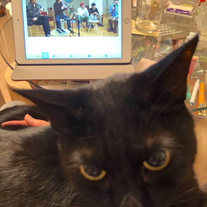 Ef3d84c9 3862 4a8b 8a72 98c749631ce3 1585316357508