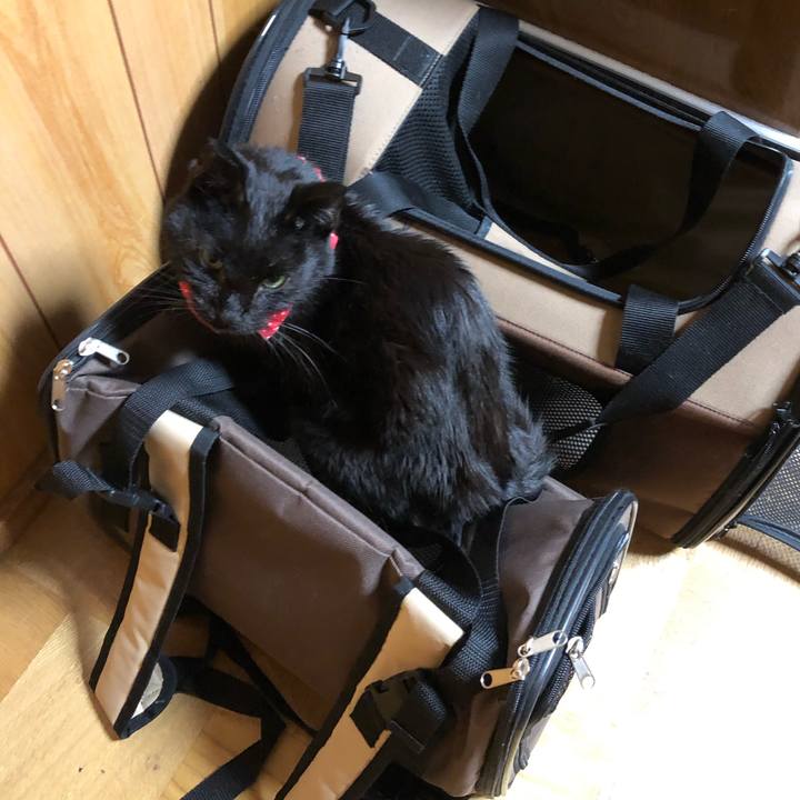 Ef3dd4f5 6e1c 456a 9eb0 6e7112acb250 1558175196587