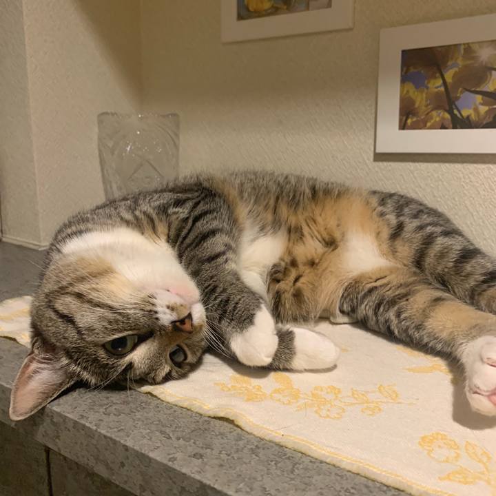 Ef3de2e6 3c6a 41d3 bd66 9111288e6315 1564983216295