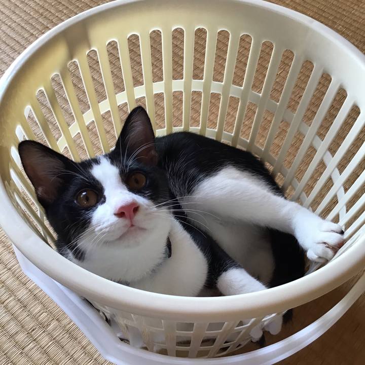 Ef3e2424 d89e 4b3f 9032 f85892c98bb5 1631258907656