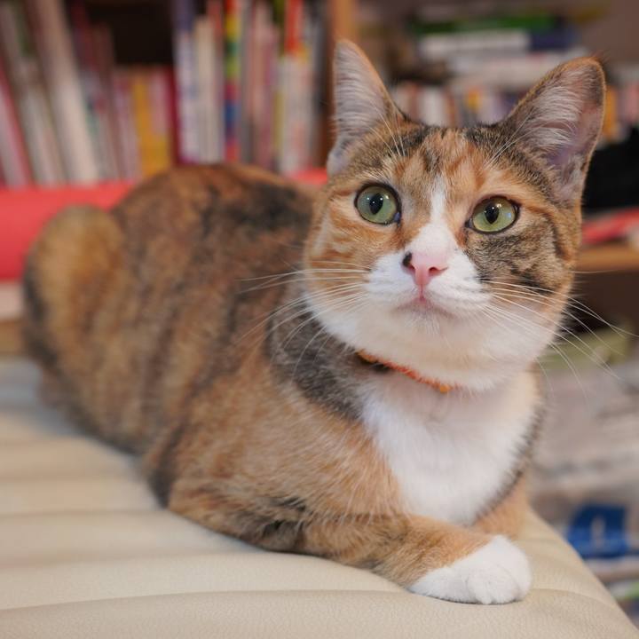 Ef3e4065 a18d 471e a718 e59377ebd0b8 1594080967245