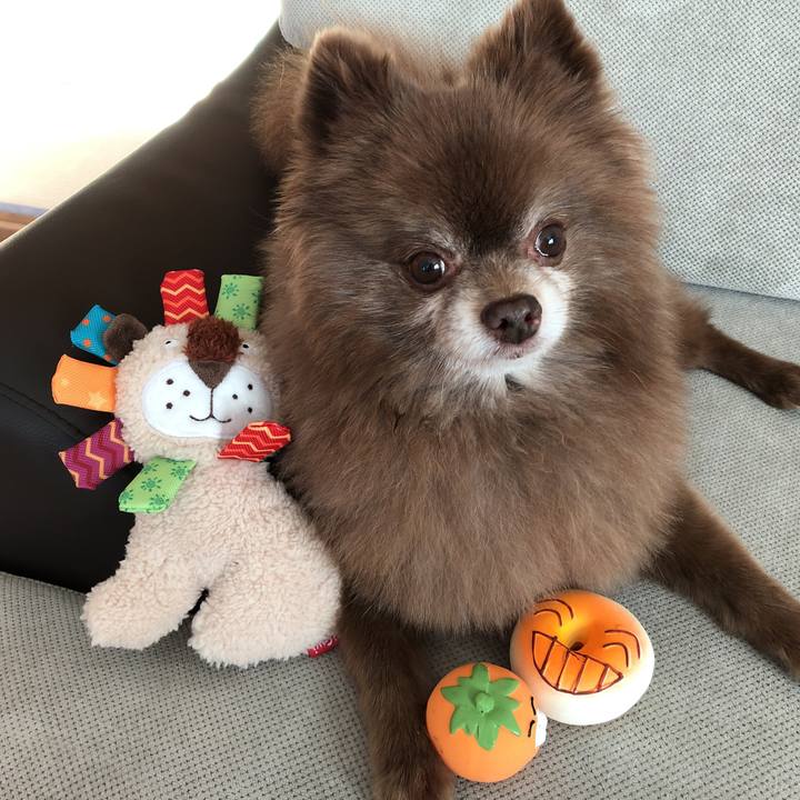 Ef3e5692 8c3a 4b0e a240 e1aac6885b80 1607212032676