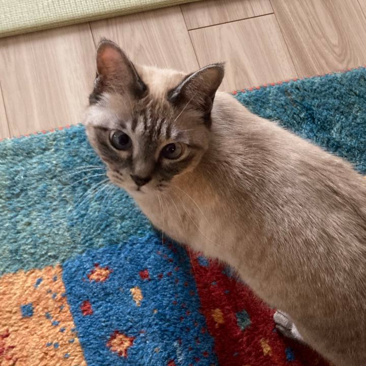 Ef3e5c62 9727 4832 8468 9a39f86207fc 1765425609183