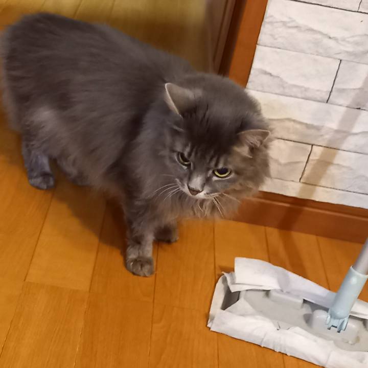 Ef3e6e5c 8aff 4df3 8a20 50396bdbaf1d 1693861901012