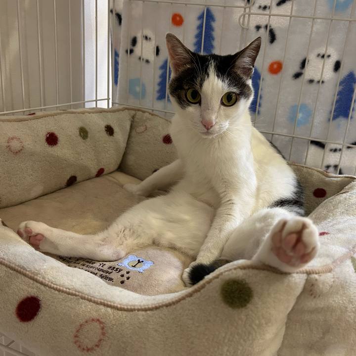 Ef3e8716 74df 4c12 bab9 238695e5adaa 1752237904677