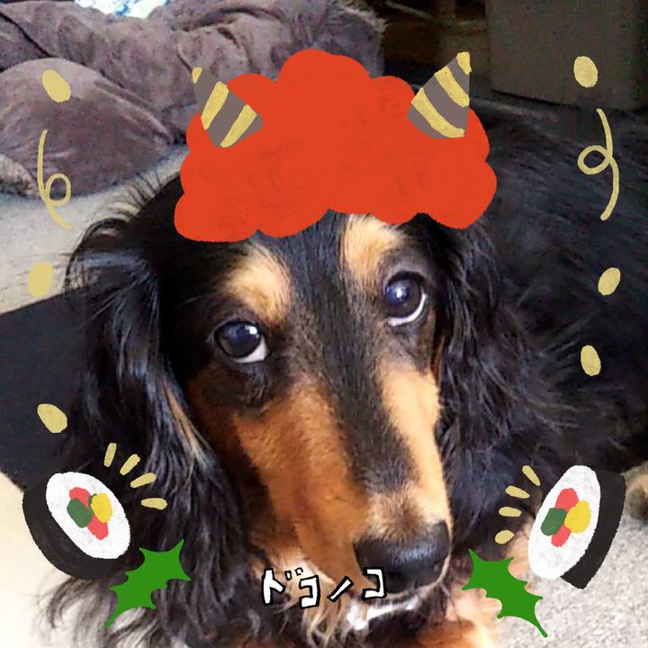 Ef3e9ee7 5e7f 4f69 beef b66a6664b8ec 1706866660761