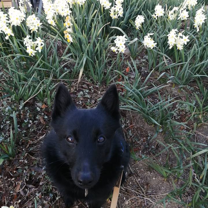 Ef3ea240 c0f4 4992 93a7 7dfa4c1a2f85 1613945328698