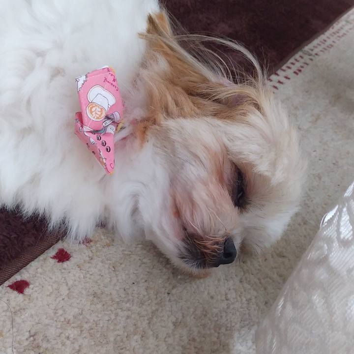 Ef3eb564 e7c1 488d 99ff e112e2ec9e56 1571891103445