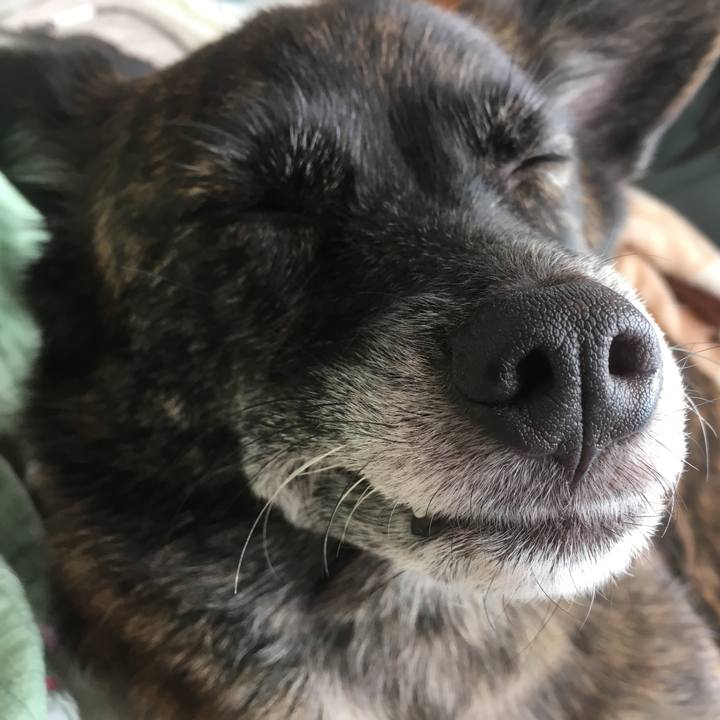 Ef3ecfe1 3c27 4bde bc0f 0f4025f5ad5f 1543032402884