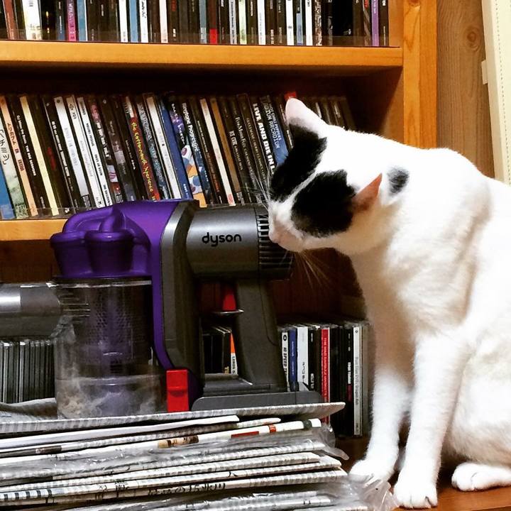 Ef3ed4ac 076f 404f ab07 9cf8d741b22e 1533521383900