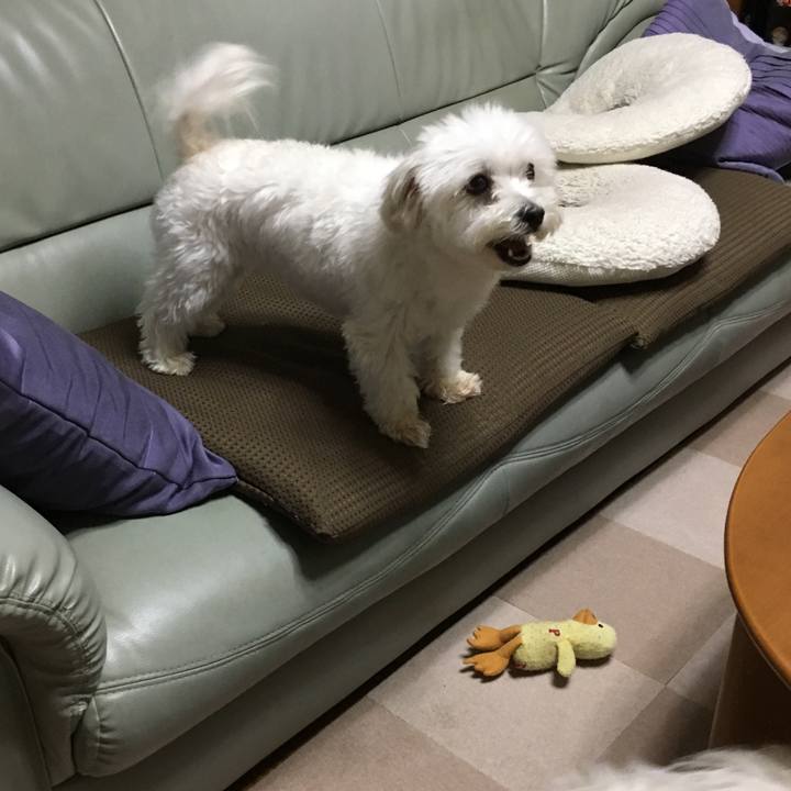 Ef3ed9e1 cf84 4874 9d9f 1102d904385f 1563019716941