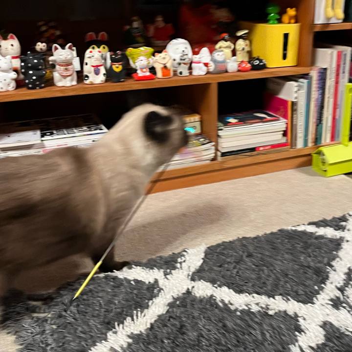 Ef3edc75 bb3a 44d0 9c4c ce63c1f1551f 1638687367491