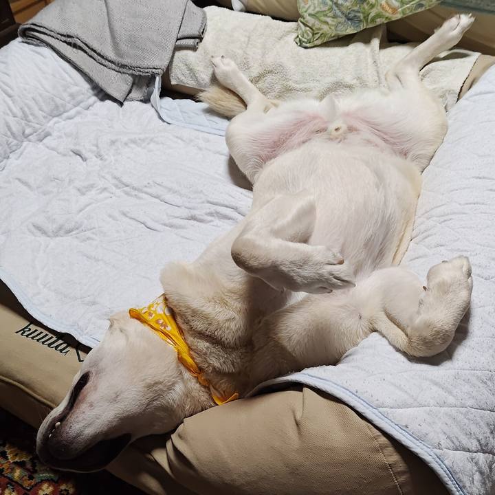 Ef3ef669 7433 45b6 9b16 36b26a31a15f 1753922594683