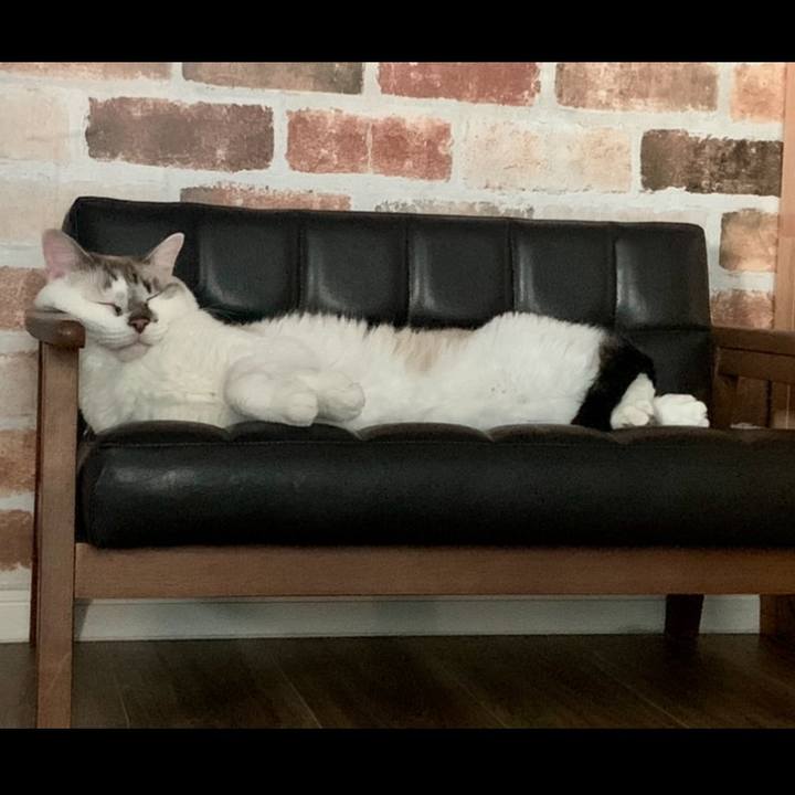 Ef3f4b2c 5146 48ad 94f6 ddc5c0f6bb93 1666528320498