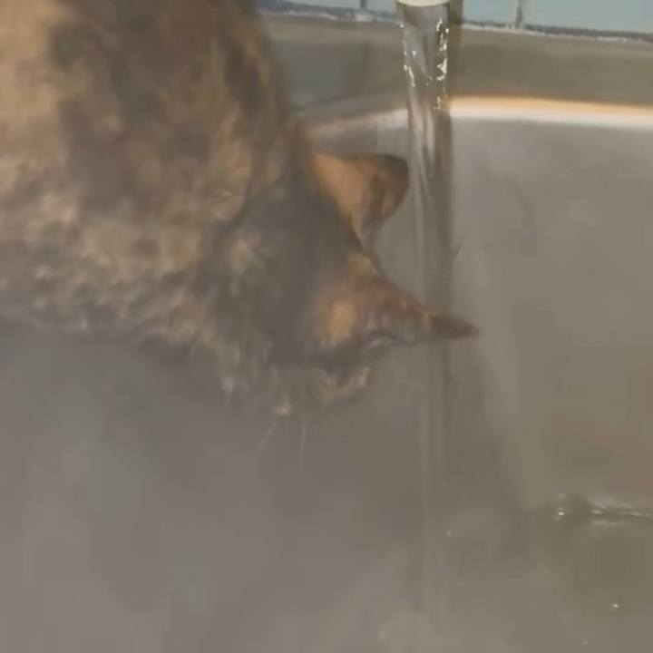 Ef3f539d 9ff2 4b4d 9b65 af52aa3d653e 1771015616755