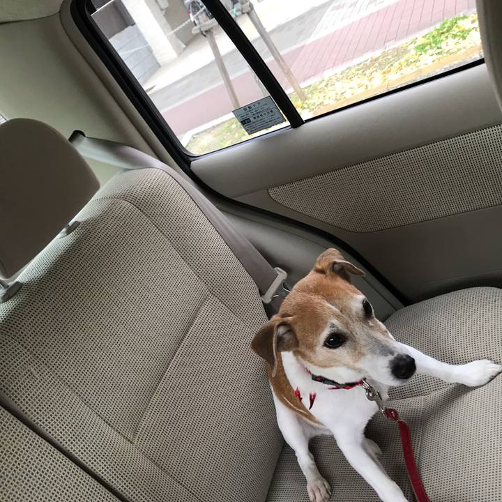 Ef3f56b5 0bbb 4b2c b688 8e9bbb235613 1575724111004