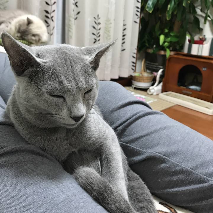 Ef3f781c bc0d 4c55 87ec 72c862c222d7 1509798730537