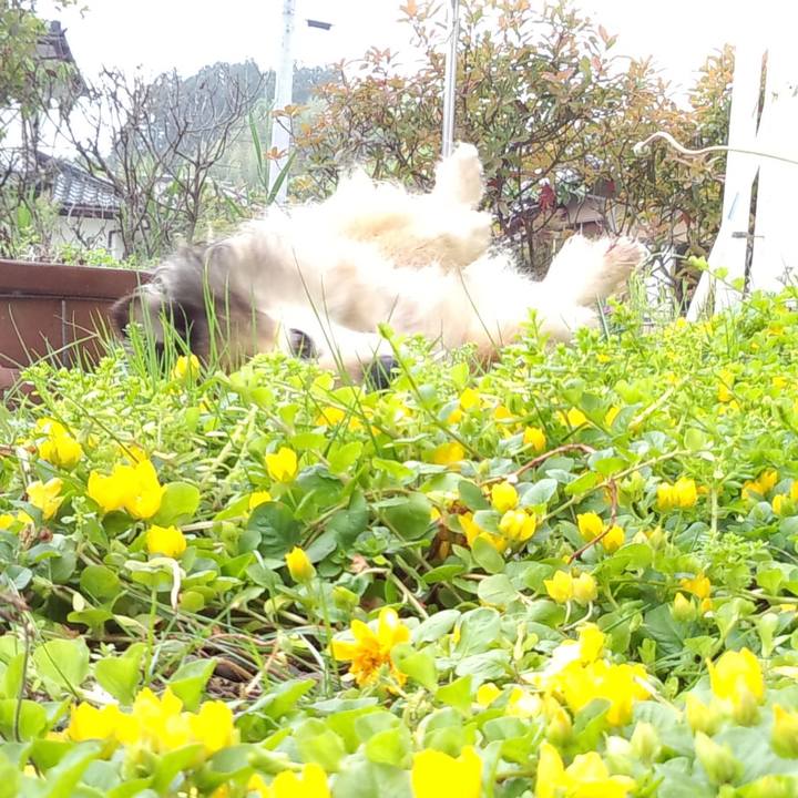 Ef3f8a6d 385d 4abf 9332 ea3dd6feaf87 1554005662862