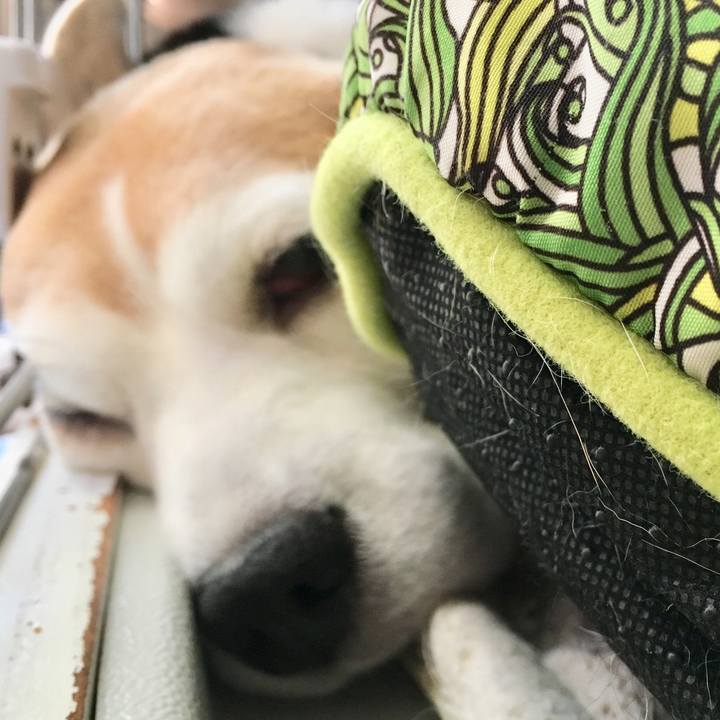 Ef3f987a d91f 46fe 98f4 0f72a49bb7c6 1749189812046