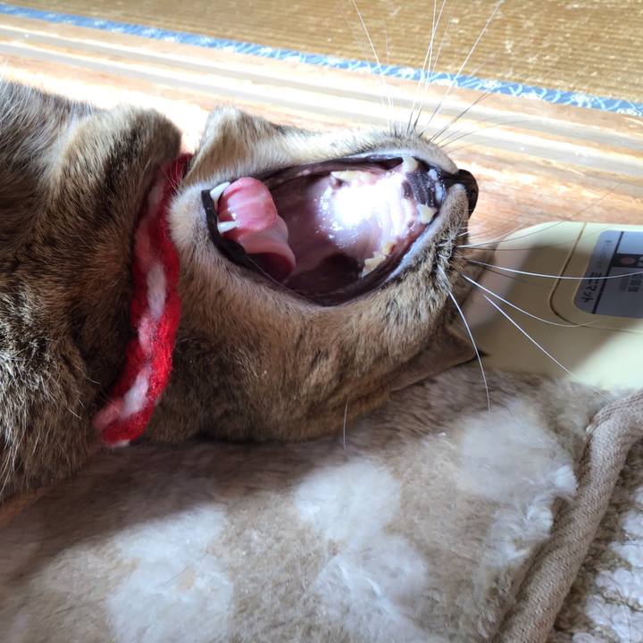 Ef3fca69 9f78 4ef4 a138 7c3769236371 1608531335372