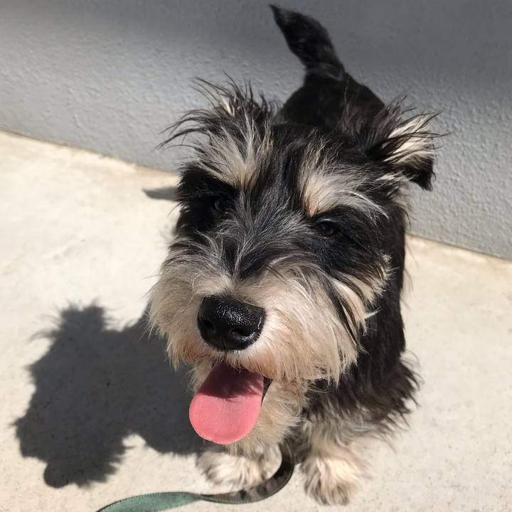 Ef3fe42f 423a 46f7 a2d7 16295c764083 1555338800951