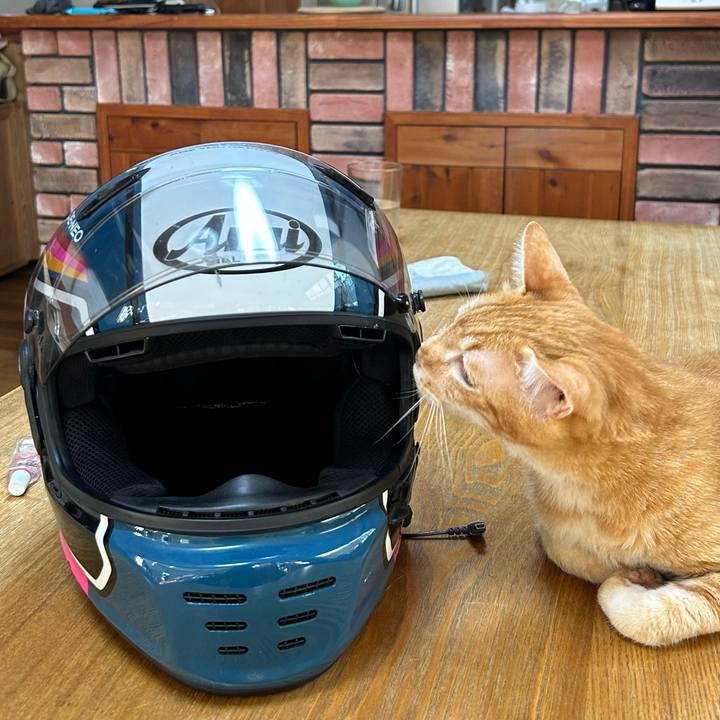 Ef40733e 1e82 4713 95eb 7ce0c5ae1e9e 1692574851851