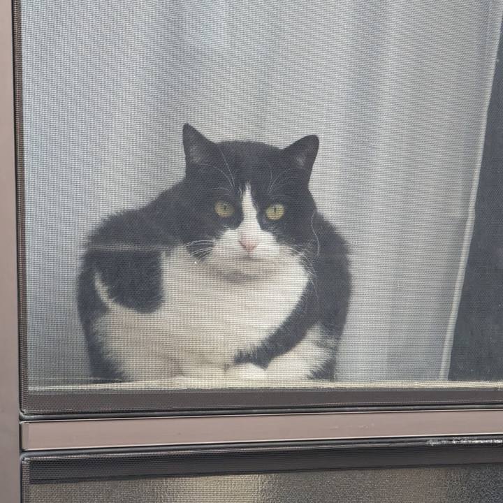 Ef409ba1 731d 47f2 80a3 381422804405 1706155213643