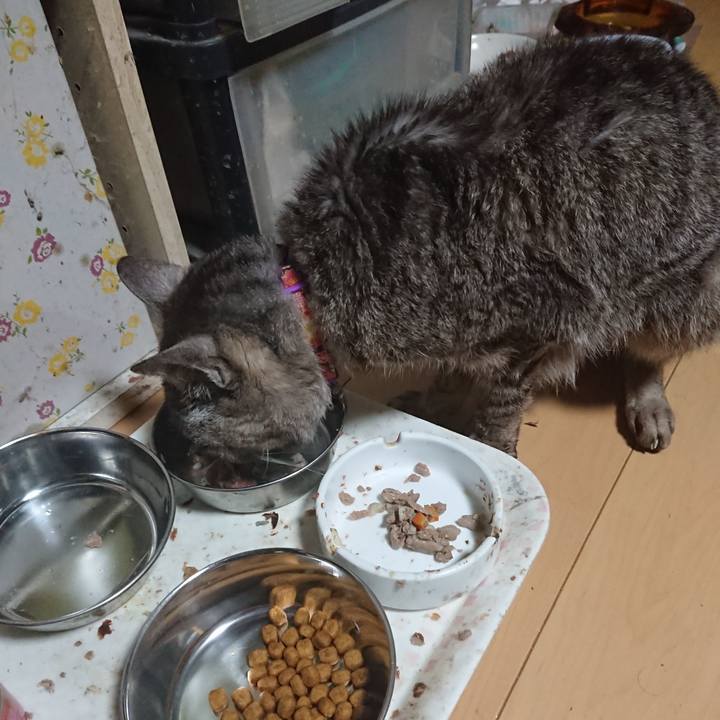 Ef40d2f9 7bc8 4aa7 a7b9 ea003f3360ec 1596922565255