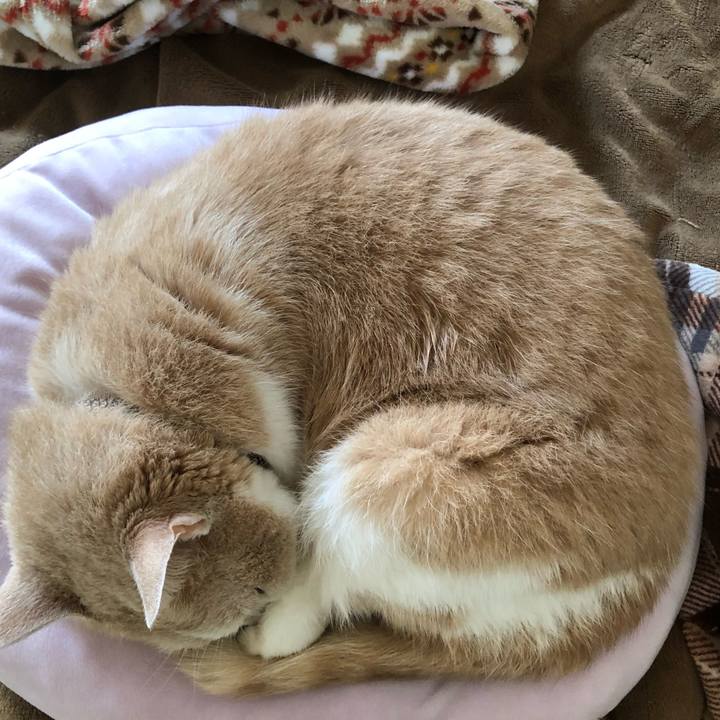 Ef410a05 100d 4d4e ac1e 64d935f58d96 1606624937817