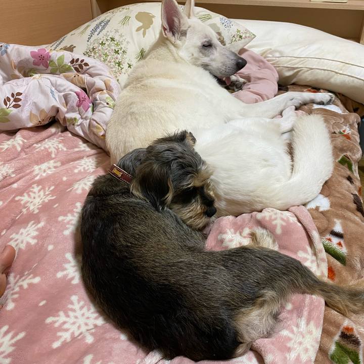 Ef410ca2 942e 4dbc 9127 d02b4b007a1f 1586280322894