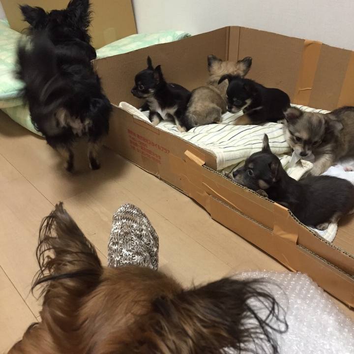 Ef410d46 3e29 4c76 ad02 90df02207257 1662852526164