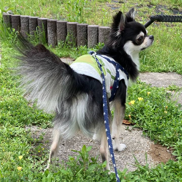 Ef4125ef dba6 4b51 bb8e ef44b3fcc014 1651930565560