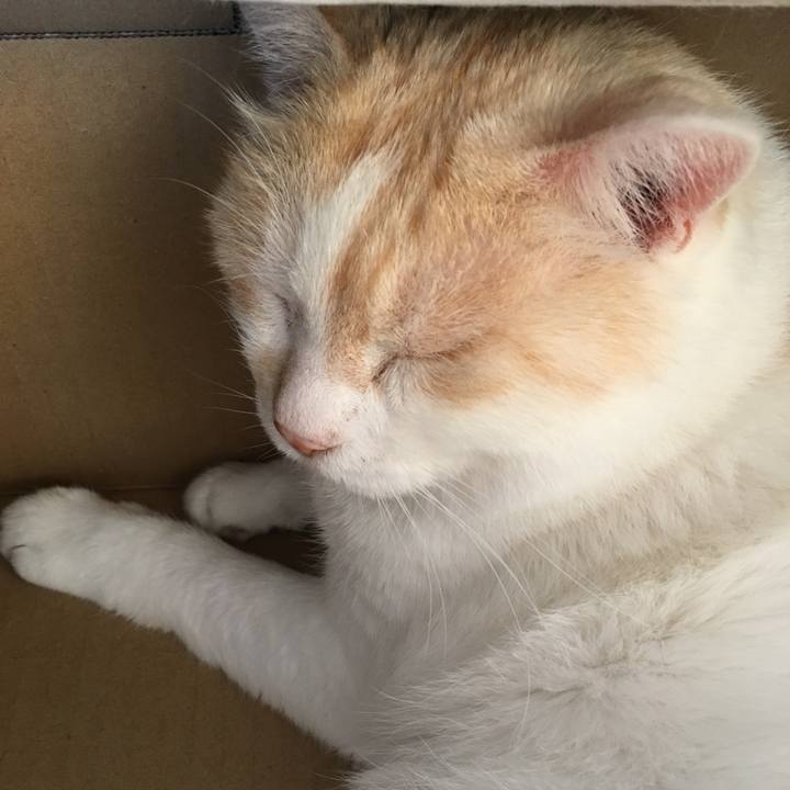 Ef4173ad 644a 4cf3 b954 caecaf85794e 1527397918001