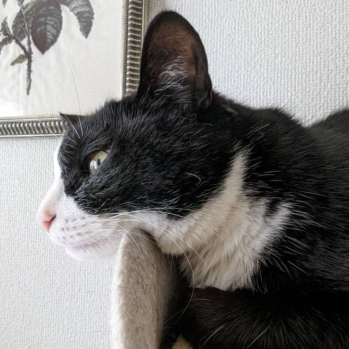 Ef41769f 3e70 46b7 90a1 1960a8039d46 1713167219481