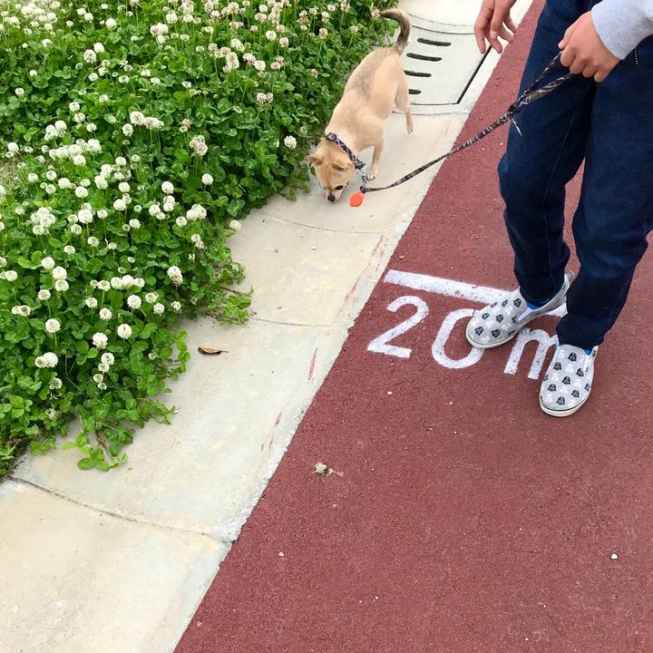 Ef41951b ce97 4822 86f2 d10623f4741f 1557876058094